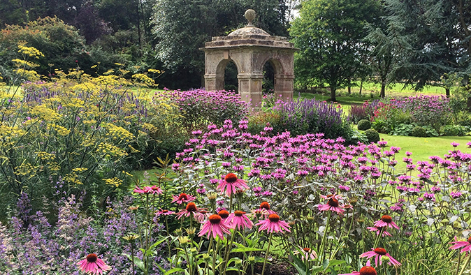 A garden design in Edinburgh